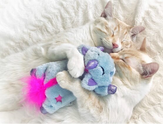 Petstages Unicorn Cuddle Pal Przytulanka dla kota