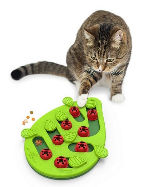 Nina Ottosson Cat Buggin&#8217; Out Puzzle &amp; Play &#8211; gra edukacyjna dla kotów
