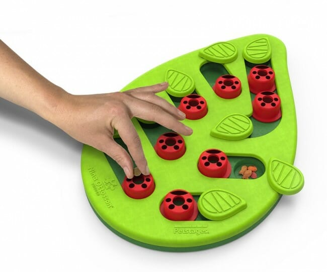 Nina Ottosson Cat Buggin&#8217; Out Puzzle &amp; Play &#8211; gra edukacyjna dla kotów
