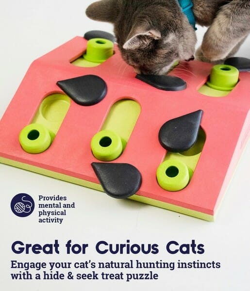 Nina Ottosson Cat Melon Madness Puzzle &amp; Play &#8211; gra edukacyjna dla kotów