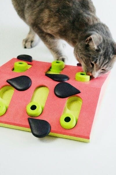 Nina Ottosson Cat Melon Madness Puzzle &amp; Play &#8211; gra edukacyjna dla kotów