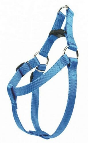 CHABA Szelki taśma regulowane nr 1 &#8211; obwód 40cm niebieskie