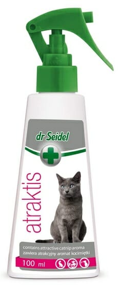Dr Seidel Atraktis &#8211; preparat z kocimietką 100ml