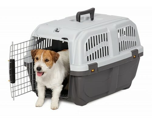 MPS Transporter Skudo 3 IATA 60x40x39cm