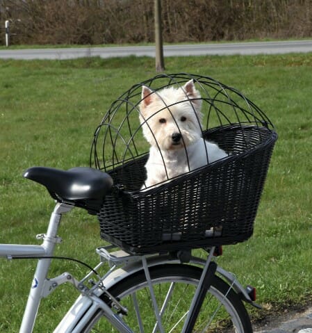 Trixie Kosz na rower