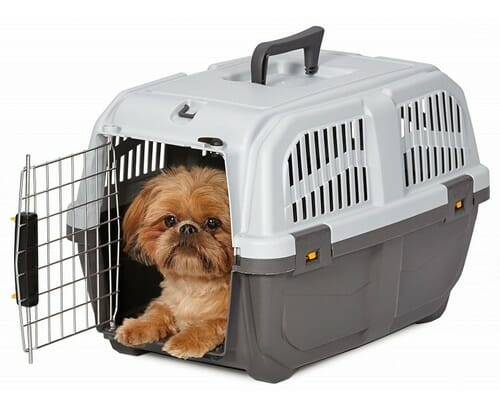 MPS Transporter Skudo 2 IATA 55x36x35cm