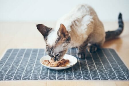 Catz Finefood Purrrr puszka Collection I 6x200g