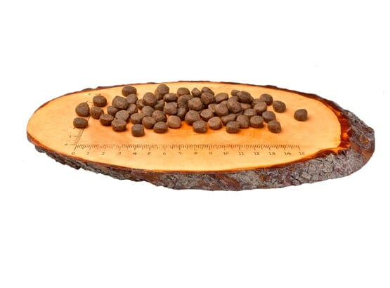 Carnilove Cat Duck &#038; Turkey for Large Breed &#8211; kaczka i indyk 400g