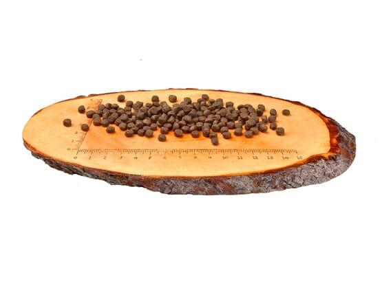 Carnilove Cat Salmon &#038; Turkey for Kittens &#8211; łosoś i indyk 400g