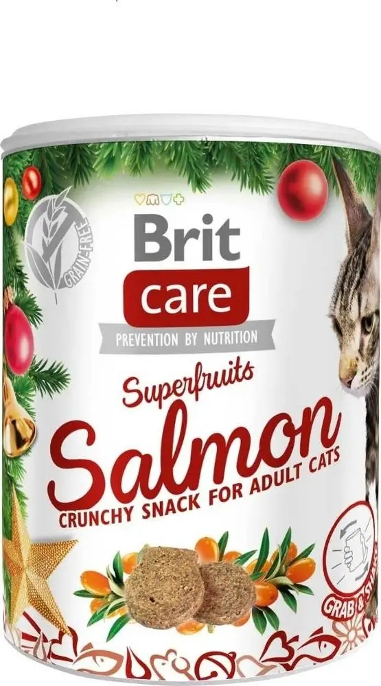Brit Care Superfruits dla kota Salmon Christmas 100g