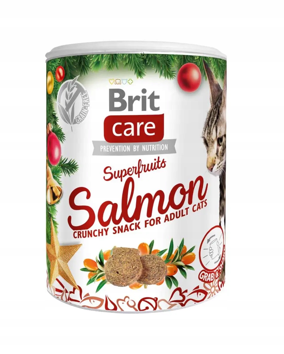 Brit Care Superfruits dla kota Salmon Christmas 100g