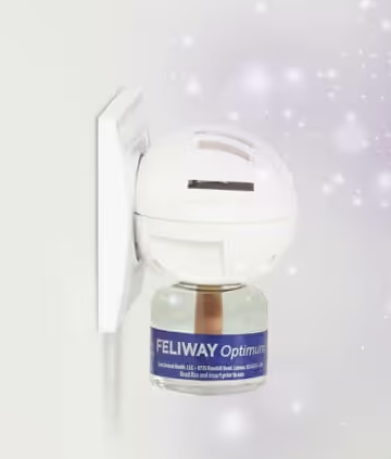 Feliway Optimum &#8211; kocie feromony Wkład uzupełniający 48ml (30 dni)