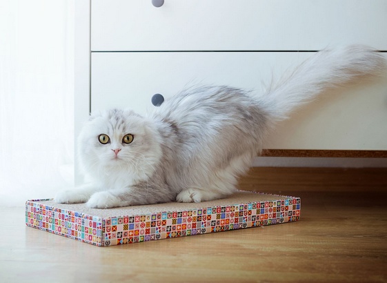 Pet Supplies Wide Scratcher &#8211; drapak tekturowy 45,7&#215;25,4&#215;3,8 [PS0628]
