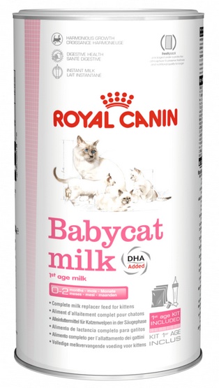 Royal Canin Babycat Milk preparat mlekozastępczy dla kociąt 300g