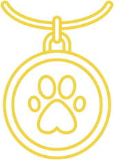Bezpieczeństwo kota