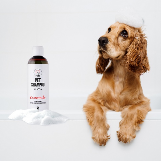 PETS Pet Shampoo Camomile &#8211; szampon rumiankowy 250ml
