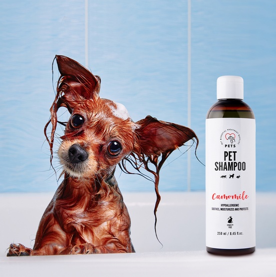 PETS Pet Shampoo Camomile &#8211; szampon rumiankowy 250ml