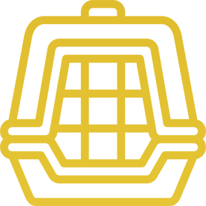 Transport kota