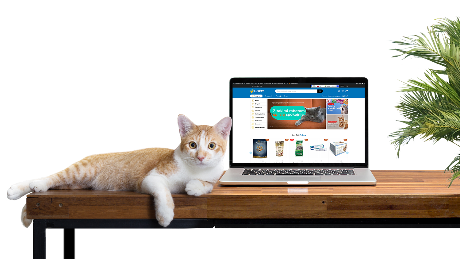 Lux Cat - Najlepszy sklep internetowy dla Twojego kota!