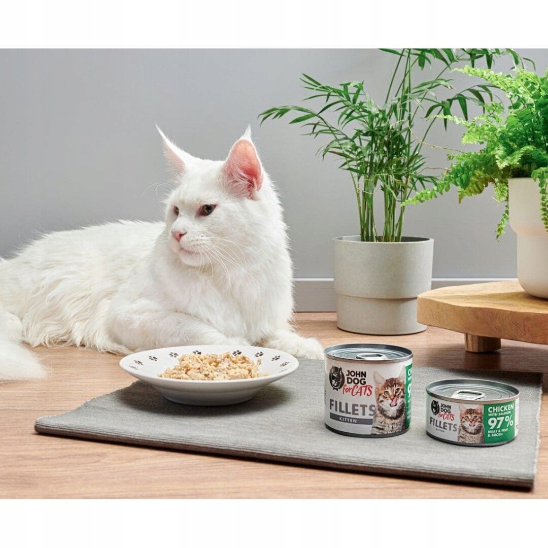 John Dog For Cats Filet Kurczak Łosoś Dla Kociąt 70g