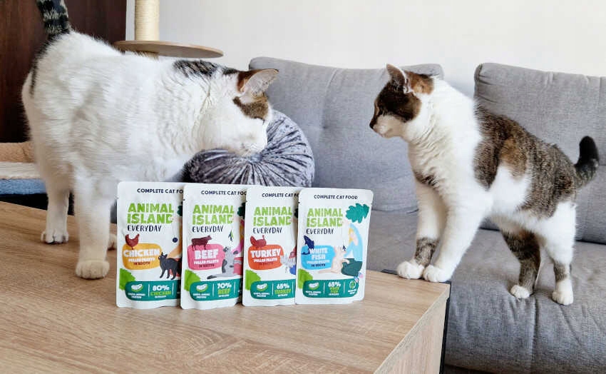 Animal Island Everyday Karma mokra dla kota Biała ryba 85g