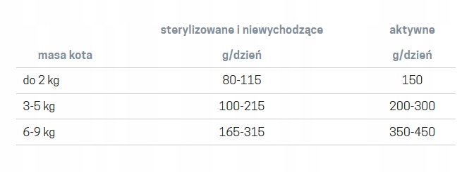 Jane Cat karma mokra wołowina 200g