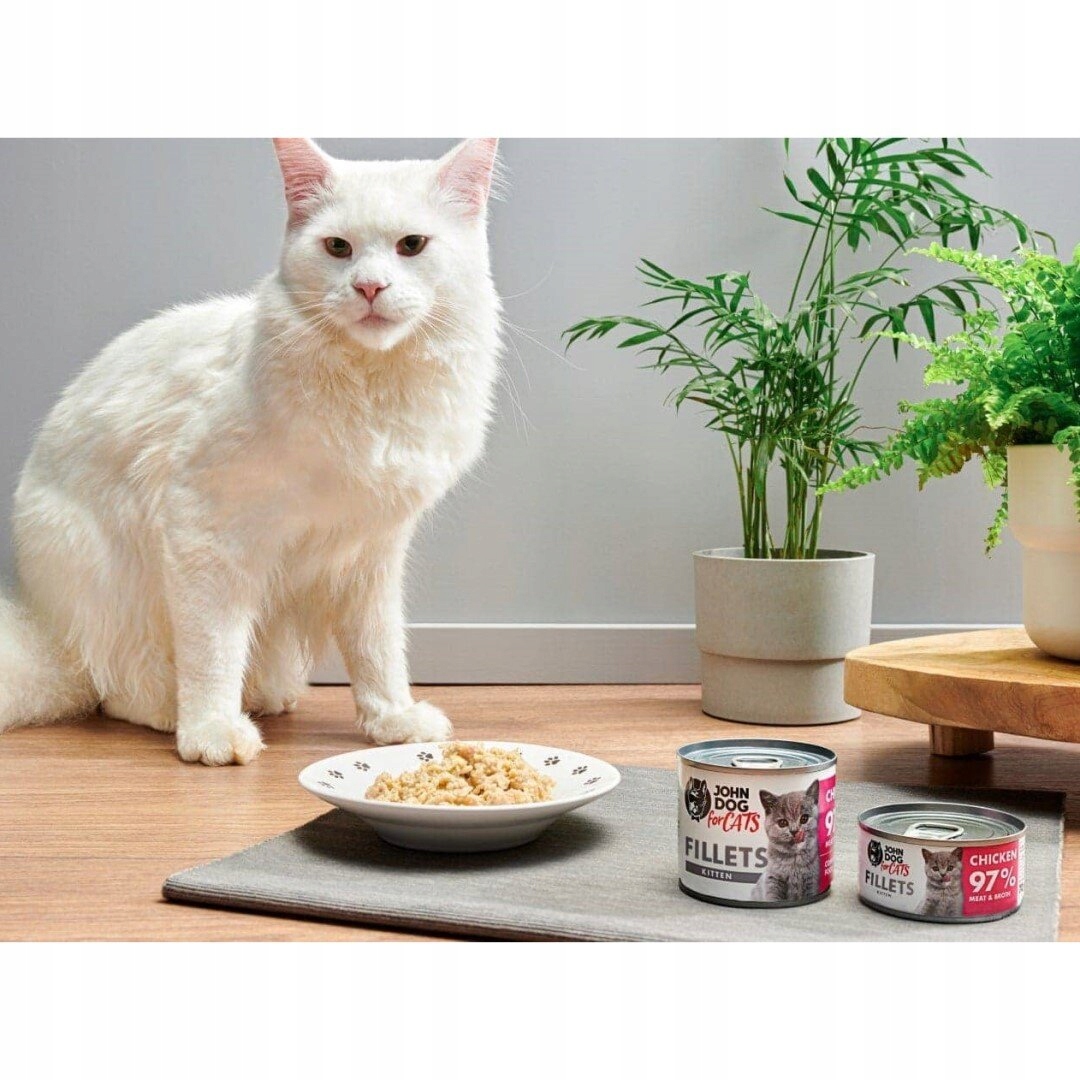 JOHN DOG FOR CATS FILETY KURCZAK dla kociąt 70g
