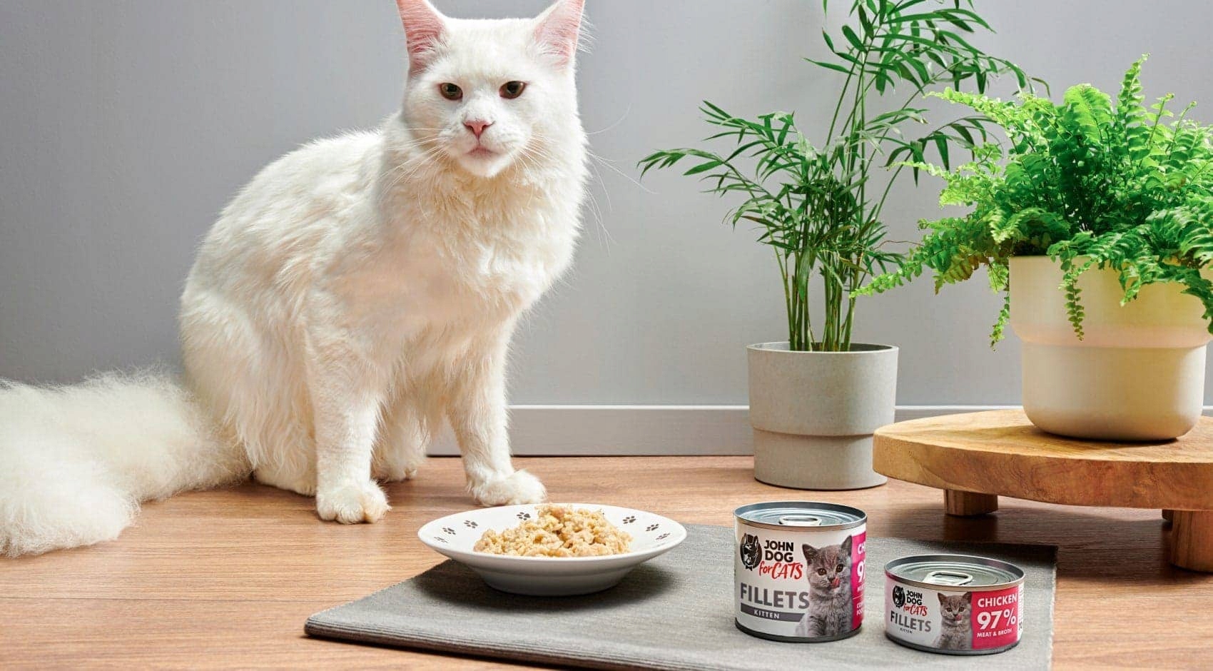 JOHN DOG FOR CATS FILETY KURCZAK dla kociąt 70g