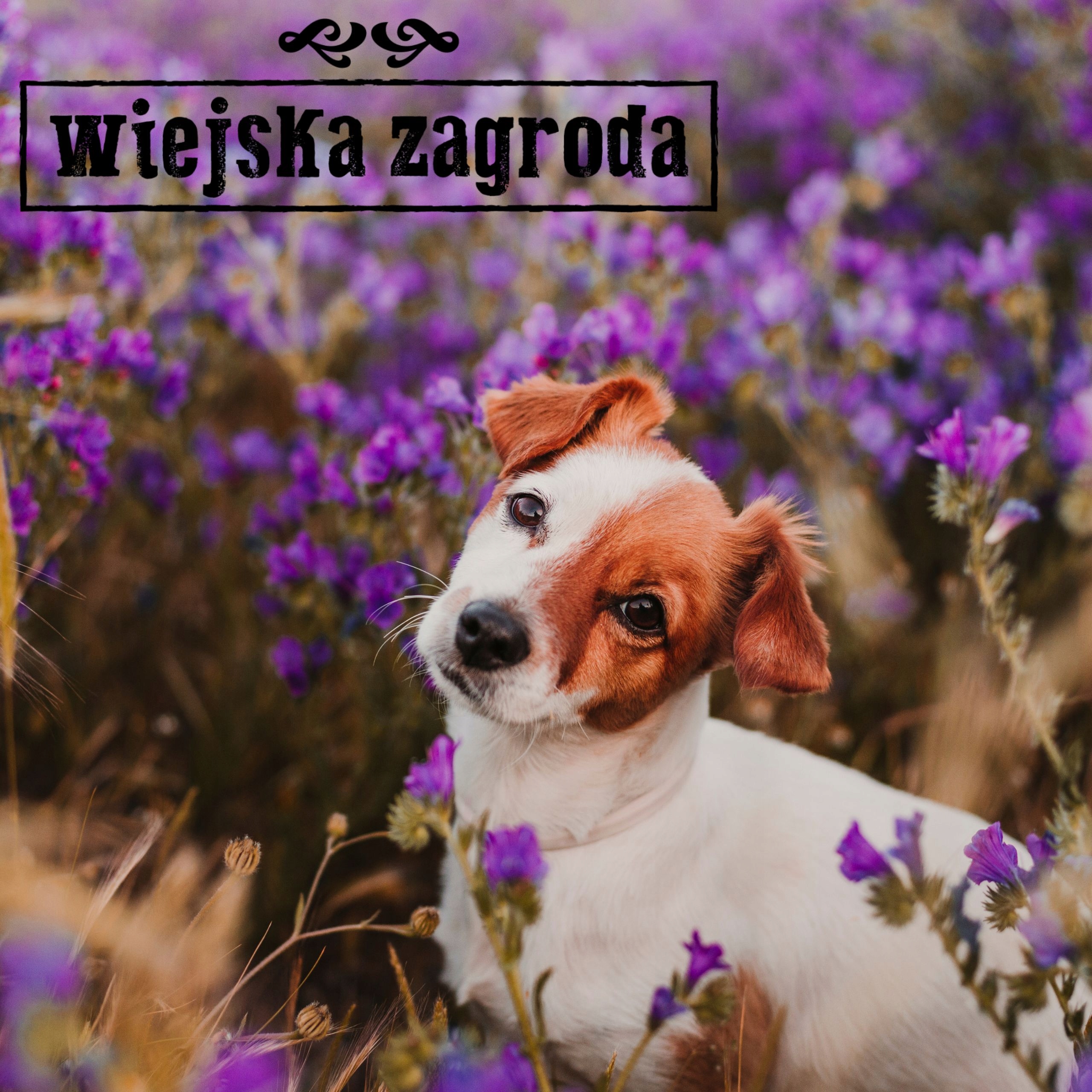 Wiejska Zagroda karma mokra kurczak 400g