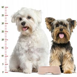 Miska plastikowa XXS 0,2L beżowa