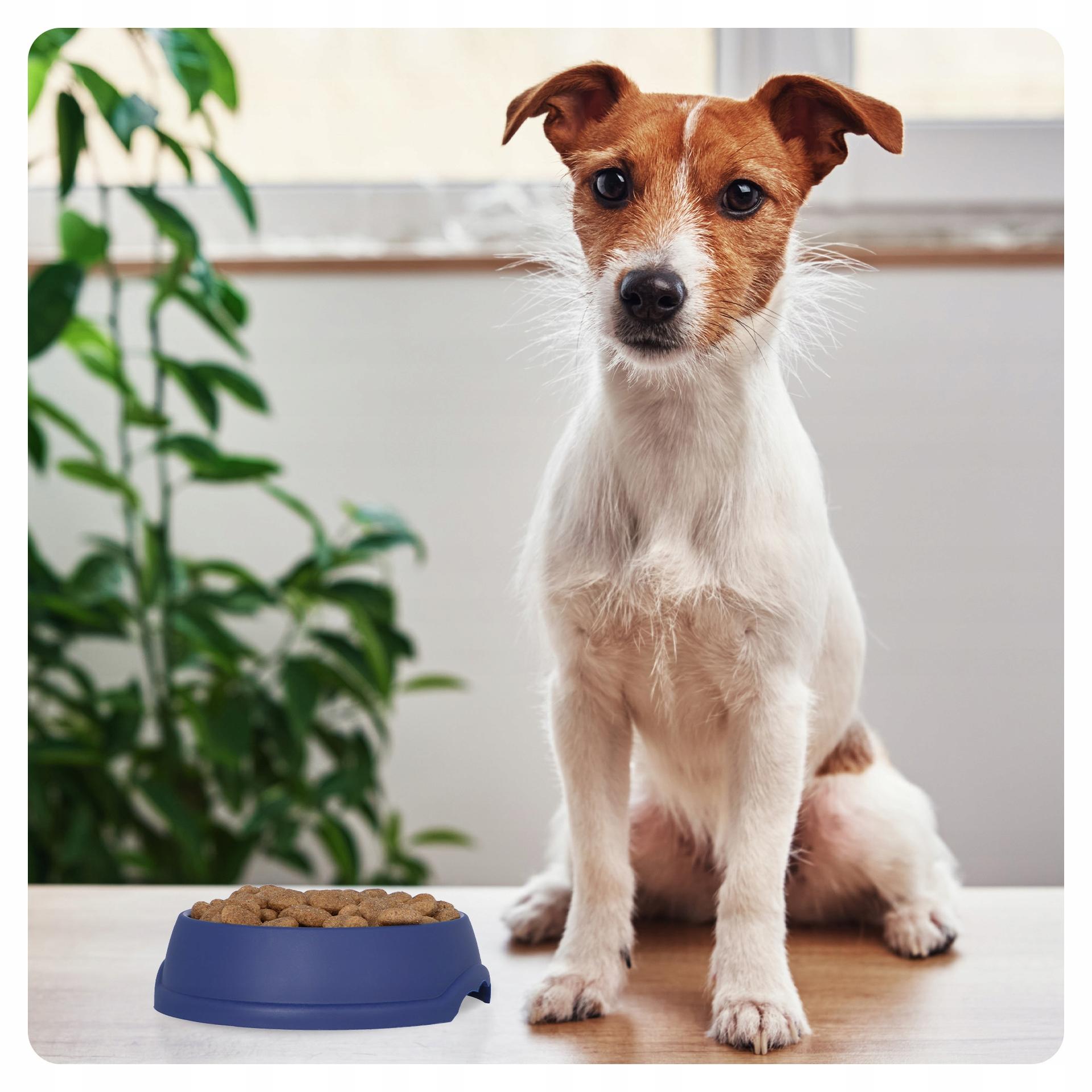 Miska plastikowa XXS 0,2L granatowa