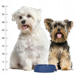 Miska plastikowa XXS 0,2L granatowa