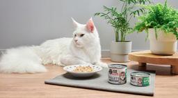 Karma mokra dla kociąt John Dog for Cats Filety Kurczak z łososiem  140g