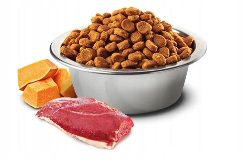 N&amp;D CAT PUMPKIN DUCK&amp;CANTALUPE ADULT GR 300