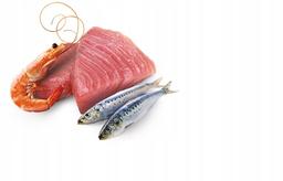 N&amp;D CAT OCEAN TUNA, SARDINE &amp; SHRIMP 70 GR