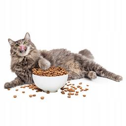 N&amp;D CAT QUINOA WEIGHT MANAGEMENT LAMB, BROCCOLI ADULT GR.300