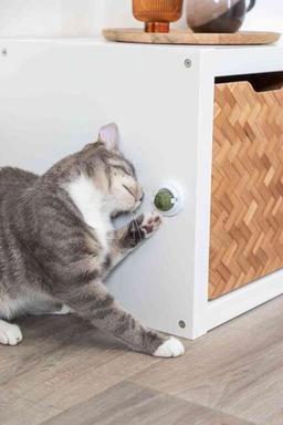 Kulka z matatabi z uchwytem, dla kota, 5 cm, do przyklejania