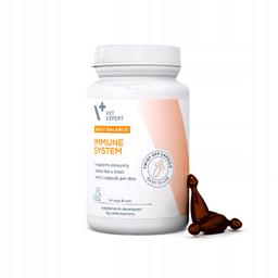 Immune system (50 kaps. Toff)