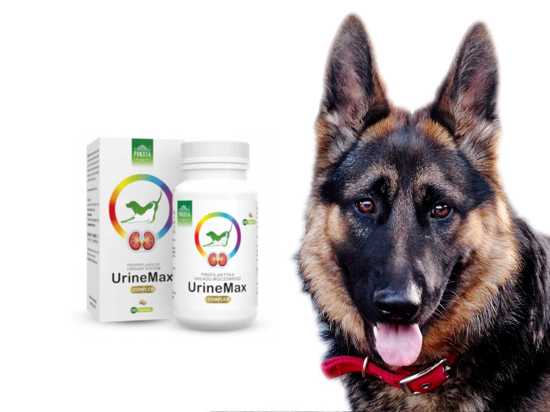 GreenLine UrineMax 120 tablets