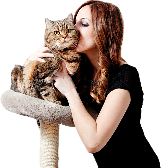 Temat-3 Lux Cat – Zoologiczny sklep internetowy dla Twojego Kota
