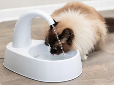 Curved Stream, poidło automatyczne, dla kota, białe, plastik, 2,5 l Curved Stream, poidło automatyczne, dla kota, białe, plastik, 2,5 l