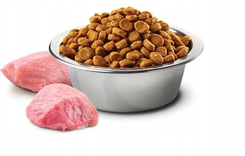 N&D PRIME CAT CHICKEN & POMEGRANATE KITTEN 300G N&D PRIME CAT CHICKEN & POMEGRANATE KITTEN 300G